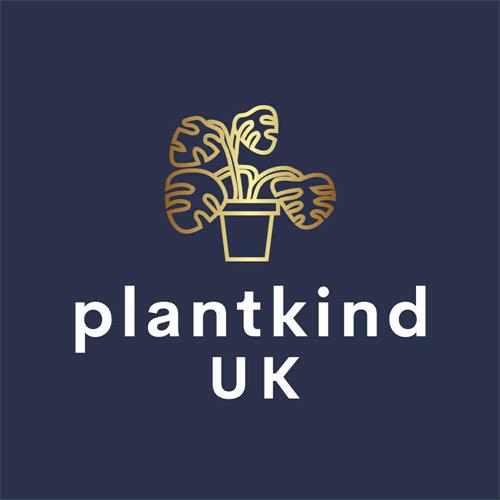 UK00003540484