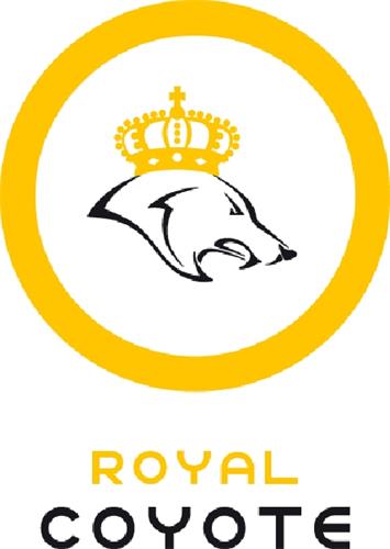 UK00909919507